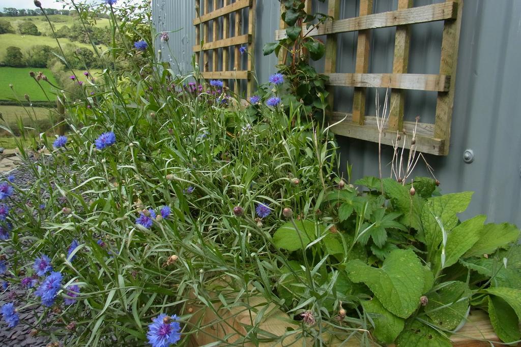 Rhiwiau Self Catering Carmarthen Exterior foto